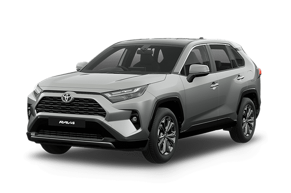 RAV4 Silver 596X396
