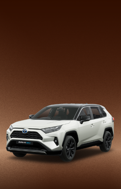 The Insider's Guide to Car Deal Shopping, Showroom Insights, and Test Drives
