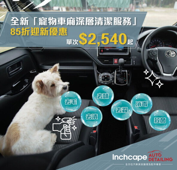 全新 「寵物車廂深層清潔服務」| Inchcape Auto Detailing 
