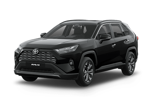 RAV4 218 596X396