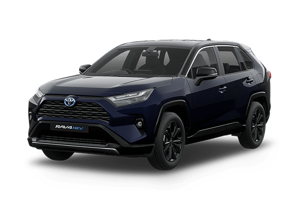 RAV4 2RA 596X396