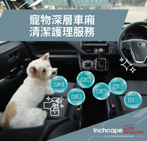 全新 「寵物車廂深層清潔服務」| Inchcape Auto Detailing